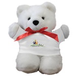  Teddy Bear